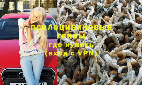 дживик Армянск