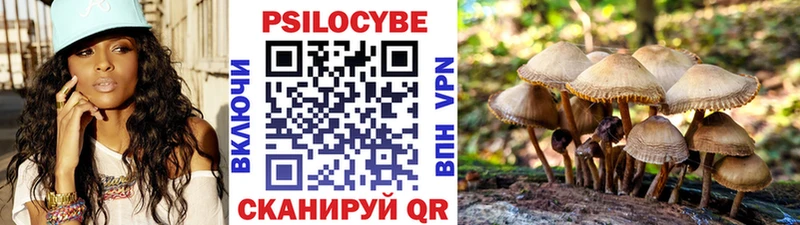 Галлюциногенные грибы Psilocybine cubensis mega Судак